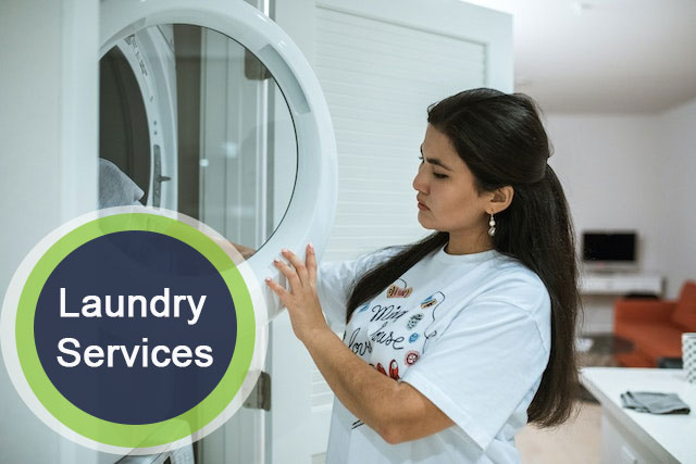 Laundry and Press Services